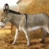 REEVES INTERNATIONAL Breyer Donkey No. 88934