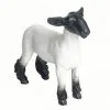 Little Buster Toys Little Buster Champion Crossbred Market Lamb
