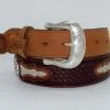 BRIGHTON Justin Men's Odessa Star Leather Belt